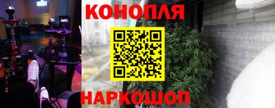 Альфа ПВП Новозыбков