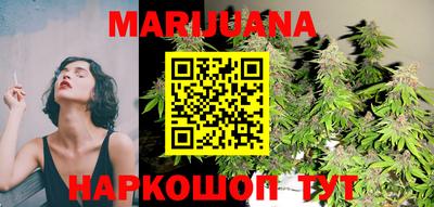 Альфа ПВП Новозыбков