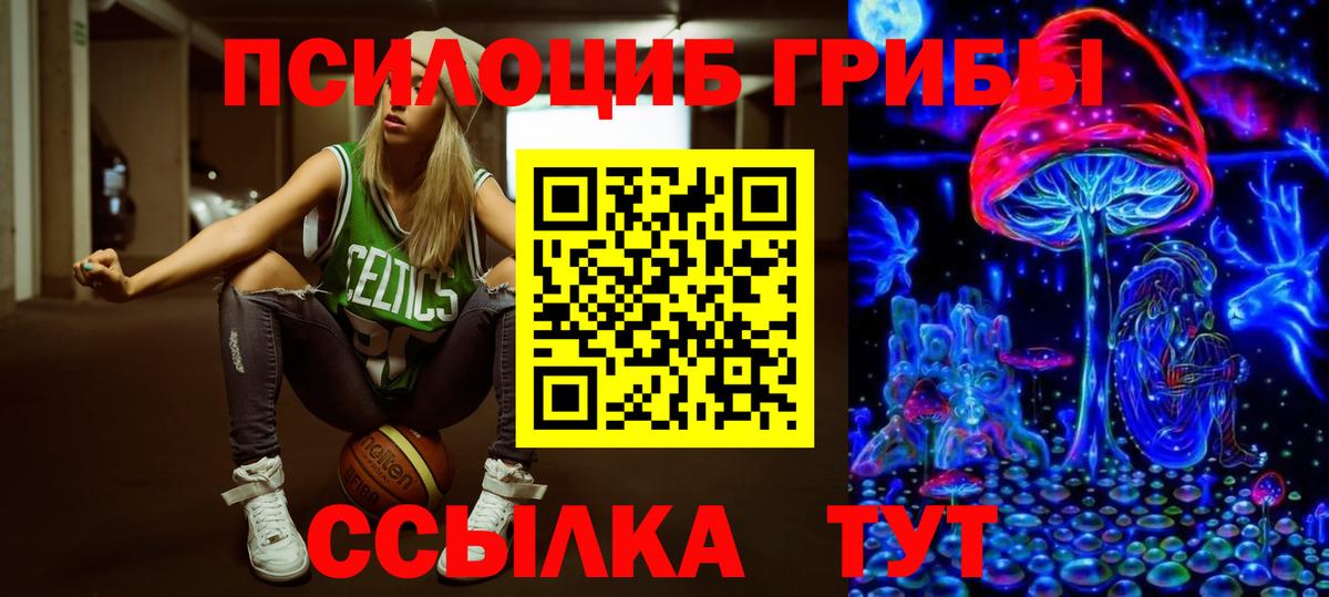 Псилоцибиновые грибы Cubensis  Вход с VPN  Солнечногорск 